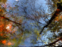 Abstracts