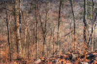 020321-031-33-hdr-j