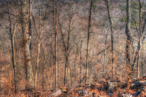 020321-031-33-hdr-j