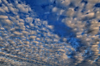 012321-052-53-hdr-tpz-e-j