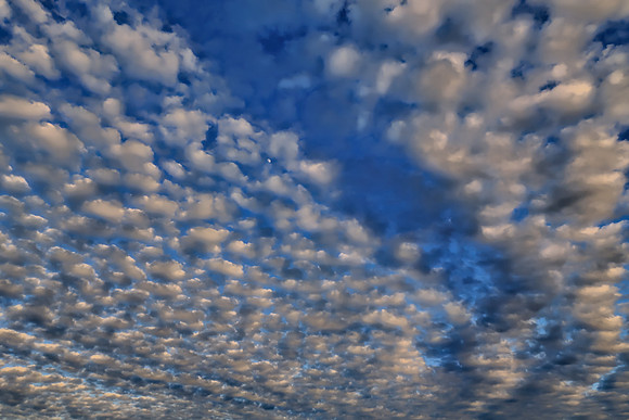012321-052-53-hdr-tpz-e-j