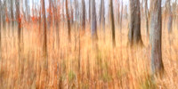 011621-027_8_hdr-e-j