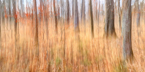 011621-027_8_hdr-e-j
