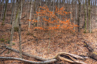 010721b-011-14-hdr-j