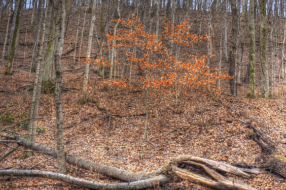 010721b-011-14-hdr-j