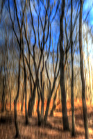 010421-049-50-hdr-j