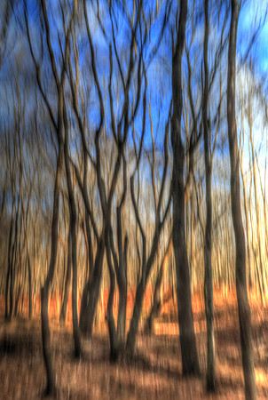 010421-049-50-hdr-j