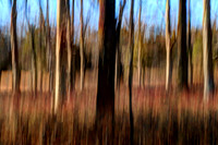 010321-049-50-hdr-j