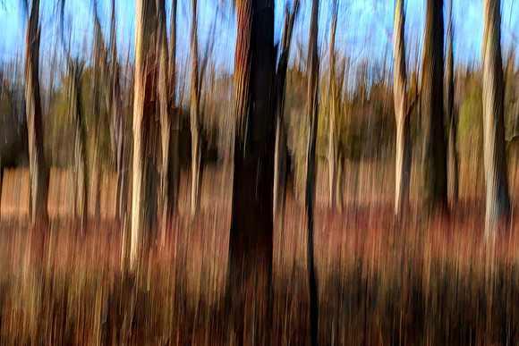 010321-049-50-hdr-j